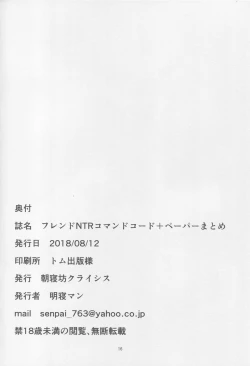 Page 17 of Friend NTR Command Code + Paper Matome
