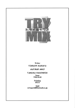Page 4 of TRYMIX