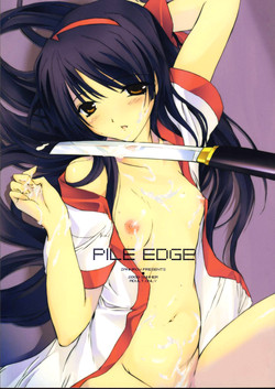 Download Pile Edge 2003 Summer