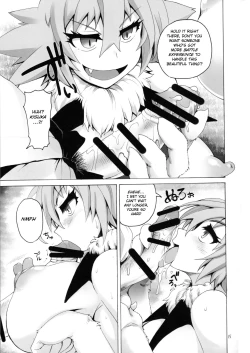 Page 14 of ULTRA-REFLE