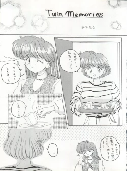 Page 13 of TWIN MEMORIES