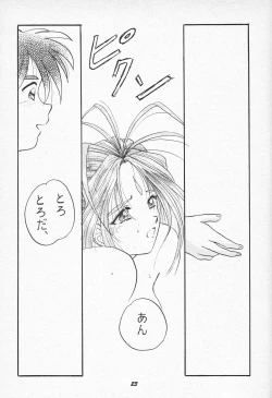 Page 22 of HOHETO 15