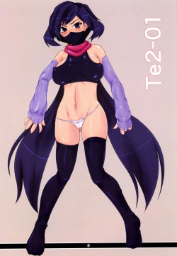 Page 2 of Te2-01