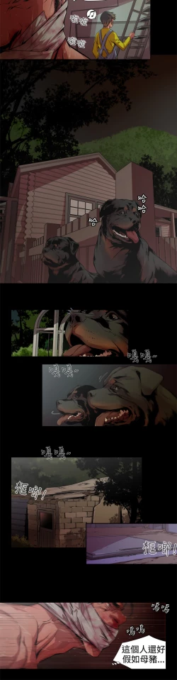 Page 78 of 捕猎母猪