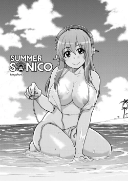 Page 3 of SUPER SASECO