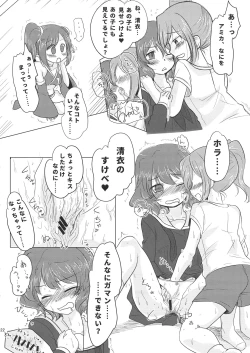 Page 22 of LRIG Kenkyuu Nisshi 2017 Harugou