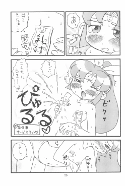 Page 23 of Hinnyuu Musume 14