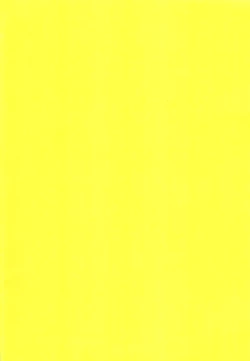 Page 3 of Kaiketsu!? Neko x Neko Solution