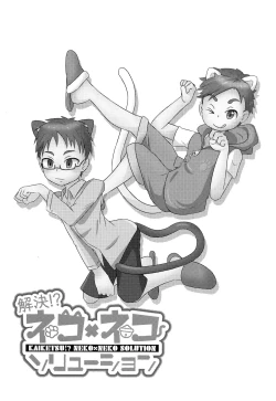 Page 4 of Kaiketsu!? Neko x Neko Solution