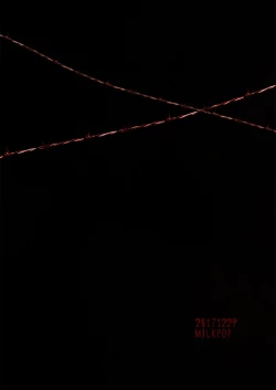 Page 21 of I Gou Shitsu no Kanja | 一号房的患者