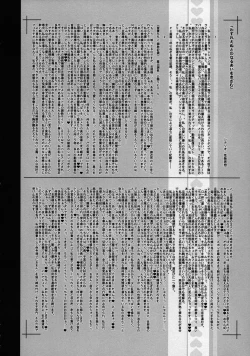 Page 13 of KI-RecenT SP:01