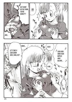 Page 25 of Episode of Bulma