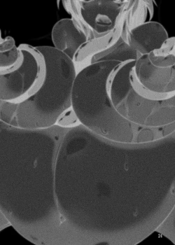 Page 21 of Shokushu Chireiden 2