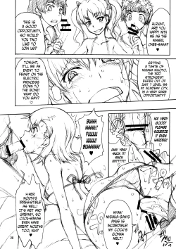 Page 20 of Oneesama Kanzen Kouryaku Photo Album