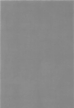 Page 3 of Brother Trade Ichinose Aya Hen