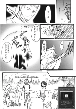 Page 13 of Tsurupeta Kenkyuusho Houkokusho