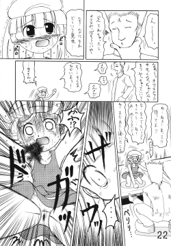 Page 21 of Tsurupeta Kenkyuusho Houkokusho