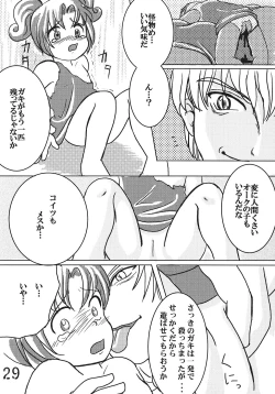 Page 28 of Tsurupeta Kenkyuusho Houkokusho