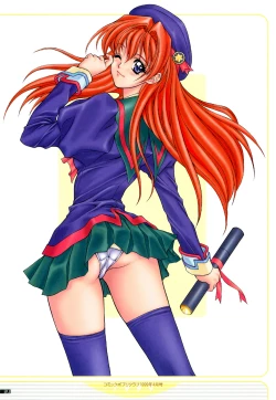 Page 33 of illustration works