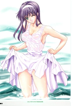 Page 47 of illustration works