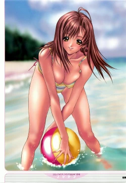 Page 84 of illustration works