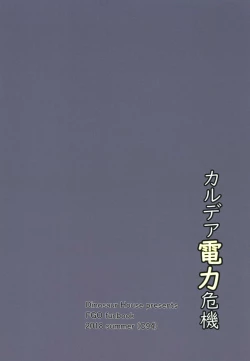 Page 24 of Chaldea Denryoku Kiki