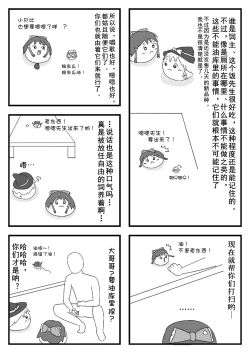 Page 44 of pet reimu（Chinese）