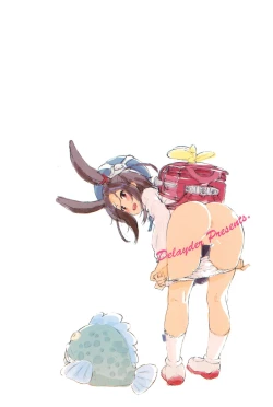 Page 20 of Limitter SC76