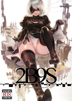 Download 2B9S
