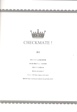 Page 25 of CHECKMATE!
