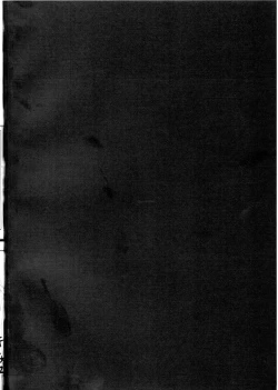 Page 3 of Kawaii Kawaii Lulu-chan no Choppiri H de Naisho na Himitsu