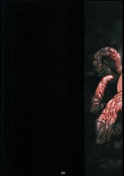 Page 21 of RB-WORKS BACKUP Injuu Genmu