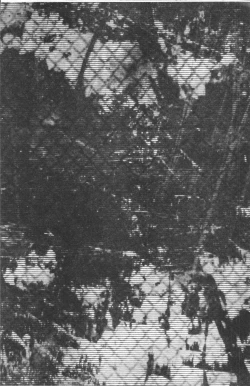 Page 8 of 2D Comic Magazine Keimusho de Aegu Onna-tachi