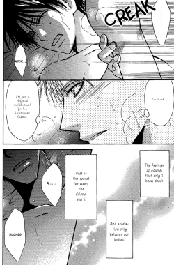 Page 29 of Kokka Renkinjutsushi no Tebiki | State Alchemist's Handbook