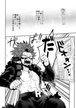 Page 13 of Aidenakereba Nanto Yobu