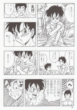 Page 33 of DRAGONBALL H Bessatsu Soushuuhen