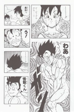 Page 37 of DRAGONBALL H Bessatsu Soushuuhen