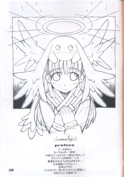 Page 2 of Summon Night II