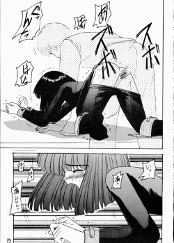 Page 14 of Hotaru II