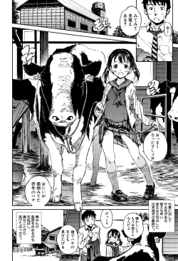 Page 39 of Cotton 100%