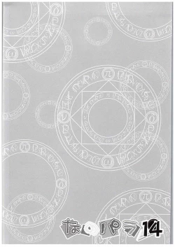 Page 3 of Nano-para 14