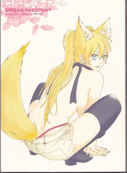 Page 1 of Dream Passport