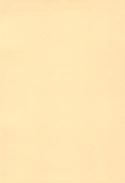 Page 4 of Chen to Issho