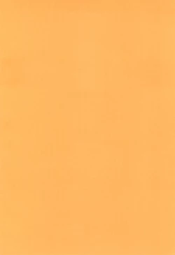 Page 4 of Yappari Neko nano.