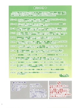 Page 18 of Aigis H Illustrations 3