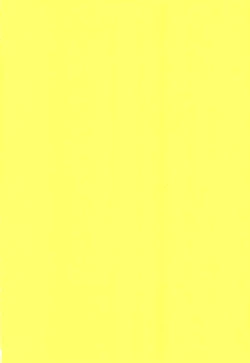 Page 21 of YELLOWCHERRY,MIDNIGHTBLUE