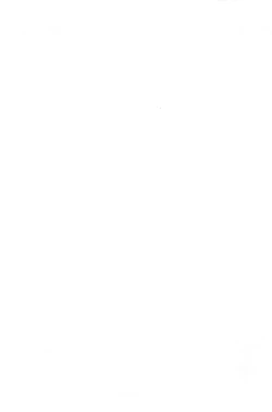 Page 2 of Yousei Girl