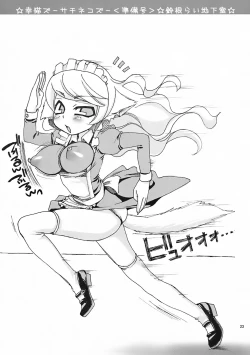 Page 22 of Sachinekos