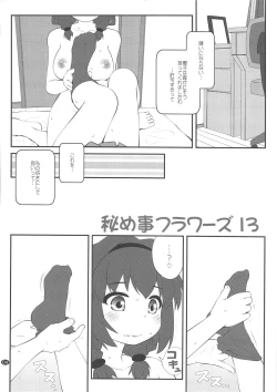 Page 3 of Himegoto Flowers 13