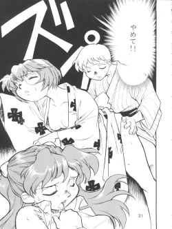 Page 21 of Evan 26.5 3